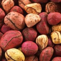 COLA NUTS